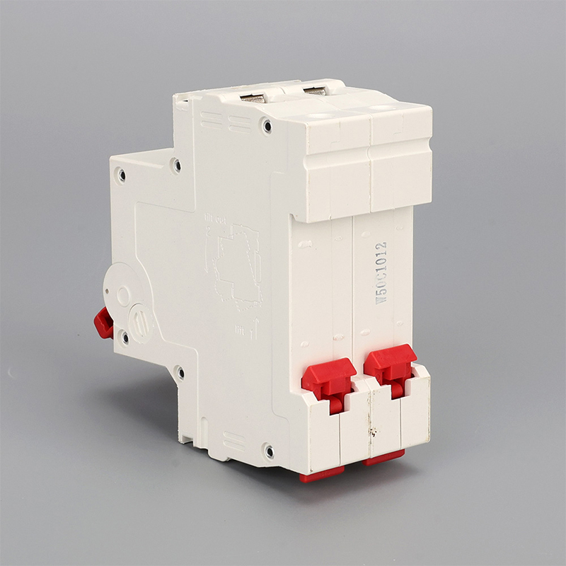 2-полюсный MCB 6A (3)