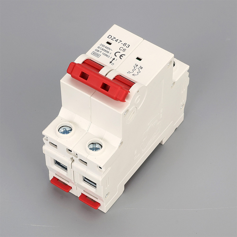 2-полюсный MCB 6A (4)